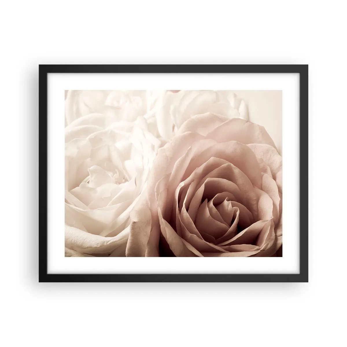 Pôster com moldura preta - No coração de uma rosa - 50x40 cm