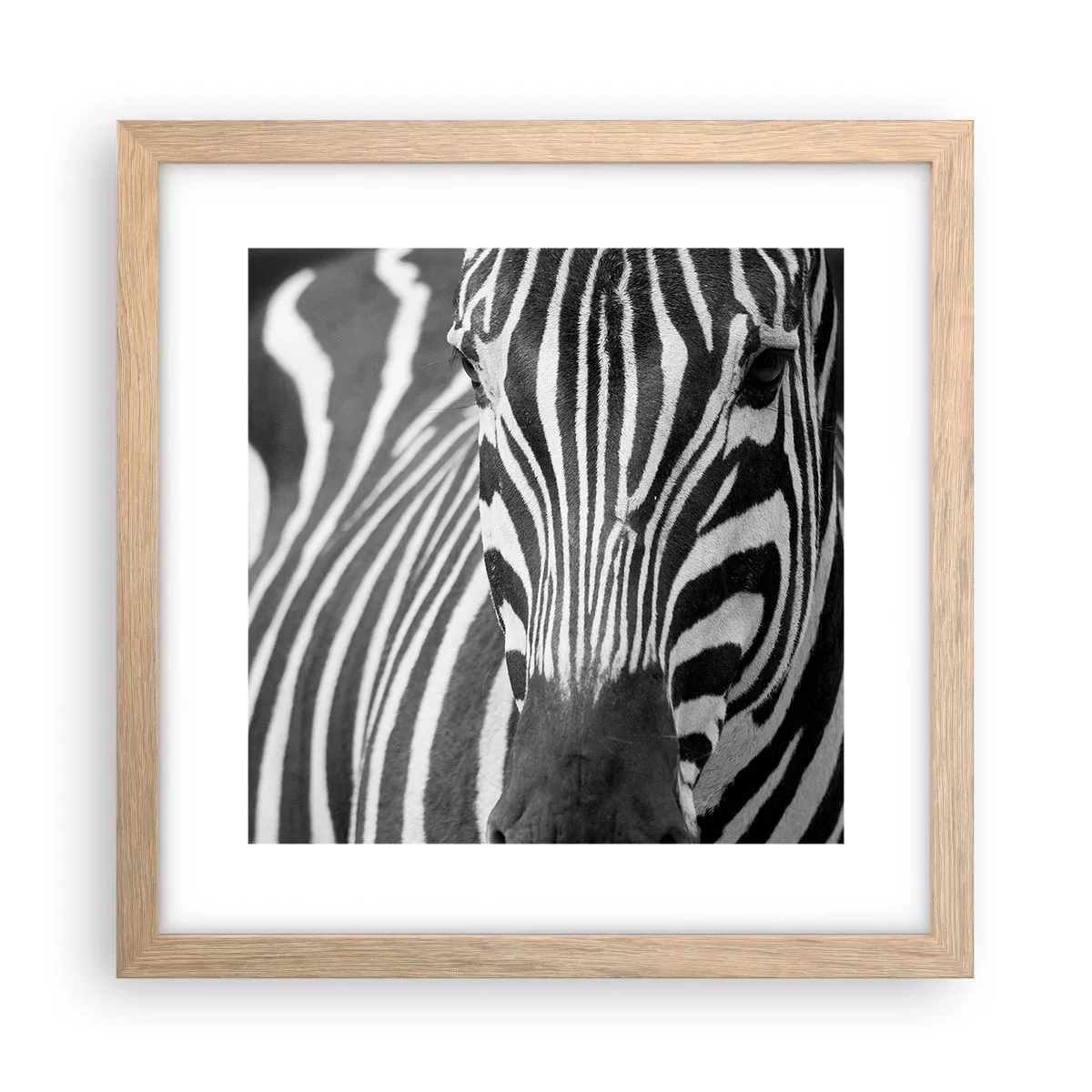 Pôster com moldura de carvalho claro - O mundo é preto e branco - 30x30 cm