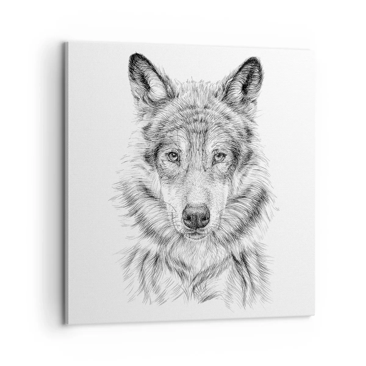 Quadro em tela - Um líder nato - 60x60 cm