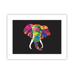 Pôster - O elefante que adorava banhar-se no arco-íris - 40x30 cm
