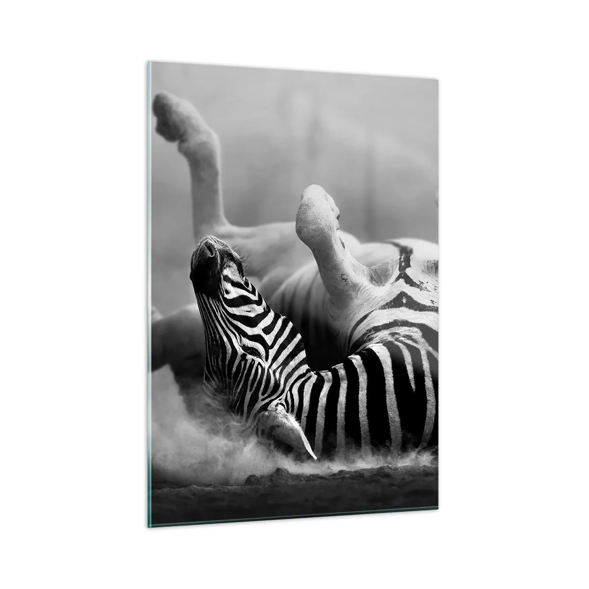 Quadro em vidro - Vai dar zebra - 50x70 cm