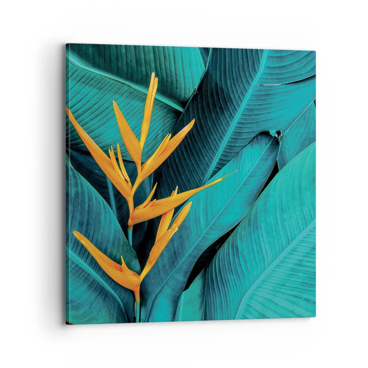Quadro em tela - Flor do Éden - 70x70 cm