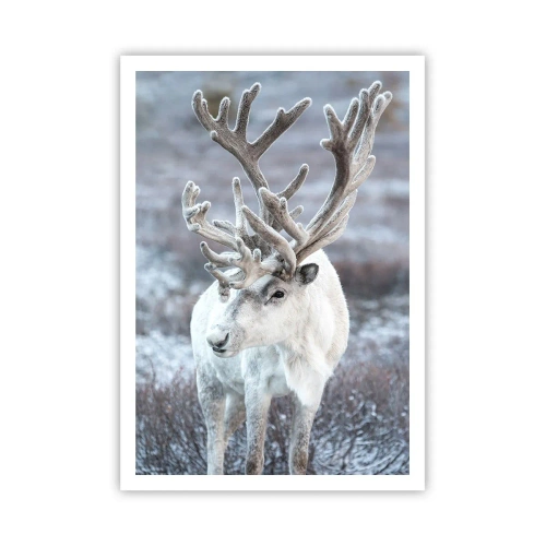 Pôster - Retrato ao sol - 70x100 cm