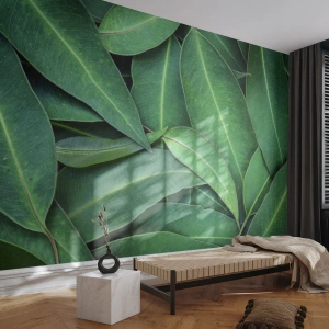 Papel de Parede Premium Canvas - Suculentas e frescas - Folhas, Eucalipto, Natureza - 150x105 cm