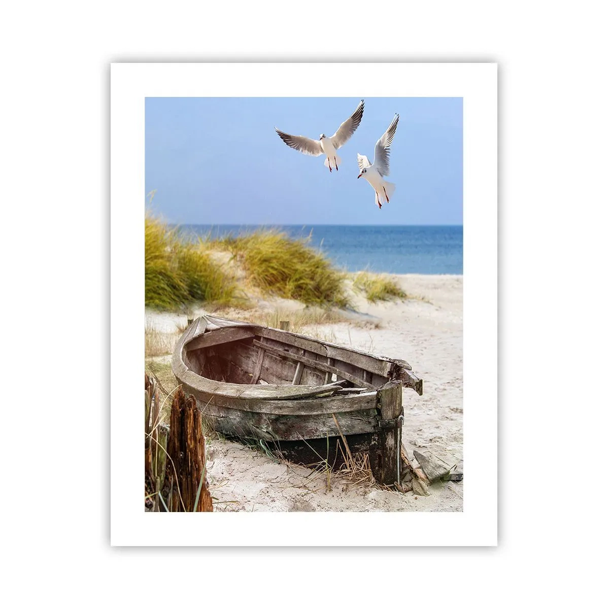 Pôster - Banhado pelo vento - 40x50 cm