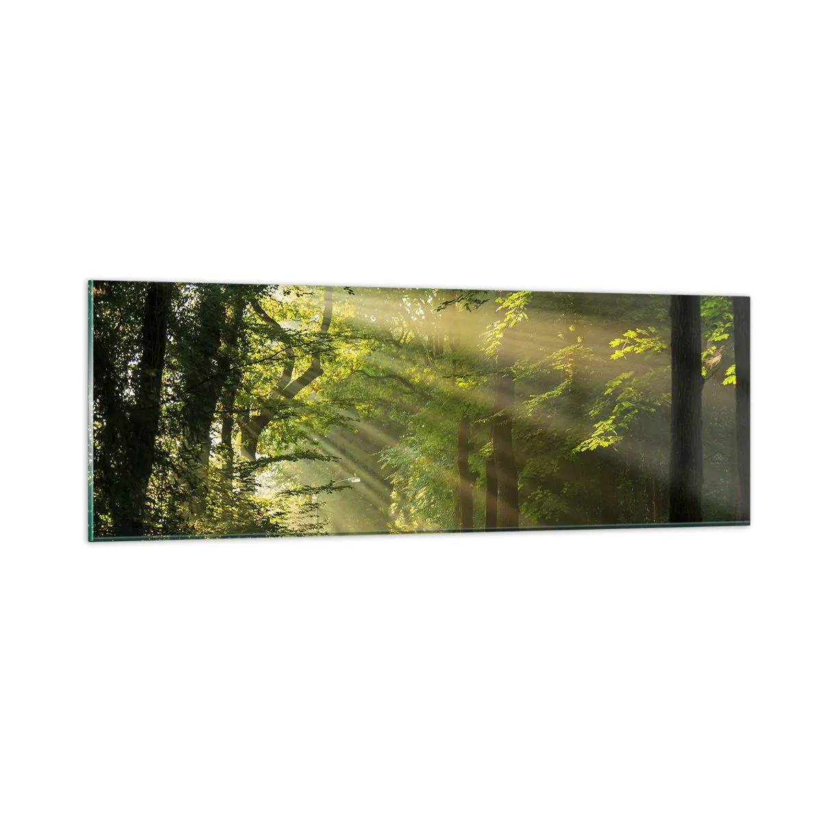 Quadro em vidro - Momento florestal - 90x30 cm
