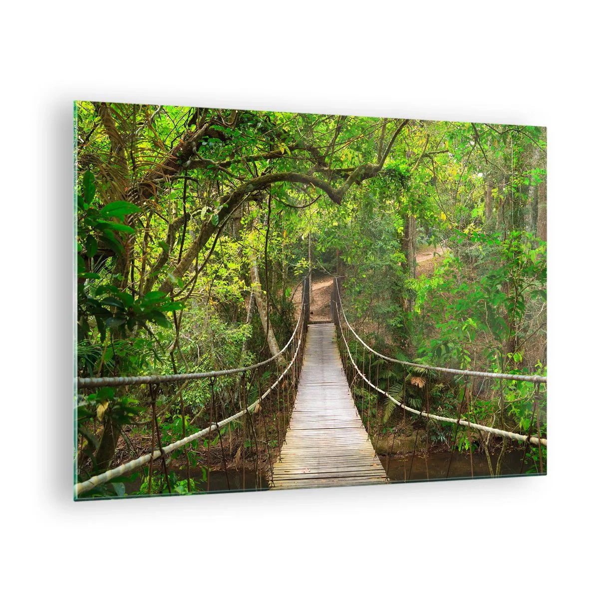 Quadro em vidro - Ponte suspensa em uma floresta tropical - 70x50cm - Porque há uma videira a crescer no jardim - Decoração de parede moderna para a sala de estar e quarto ARTTOR