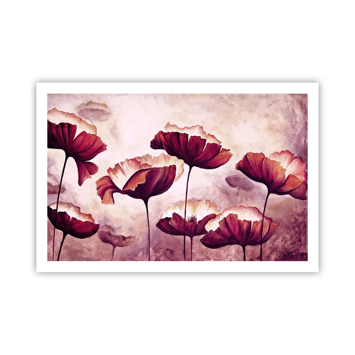 Pôster - Pétala vermelha e branca - 91x61 cm