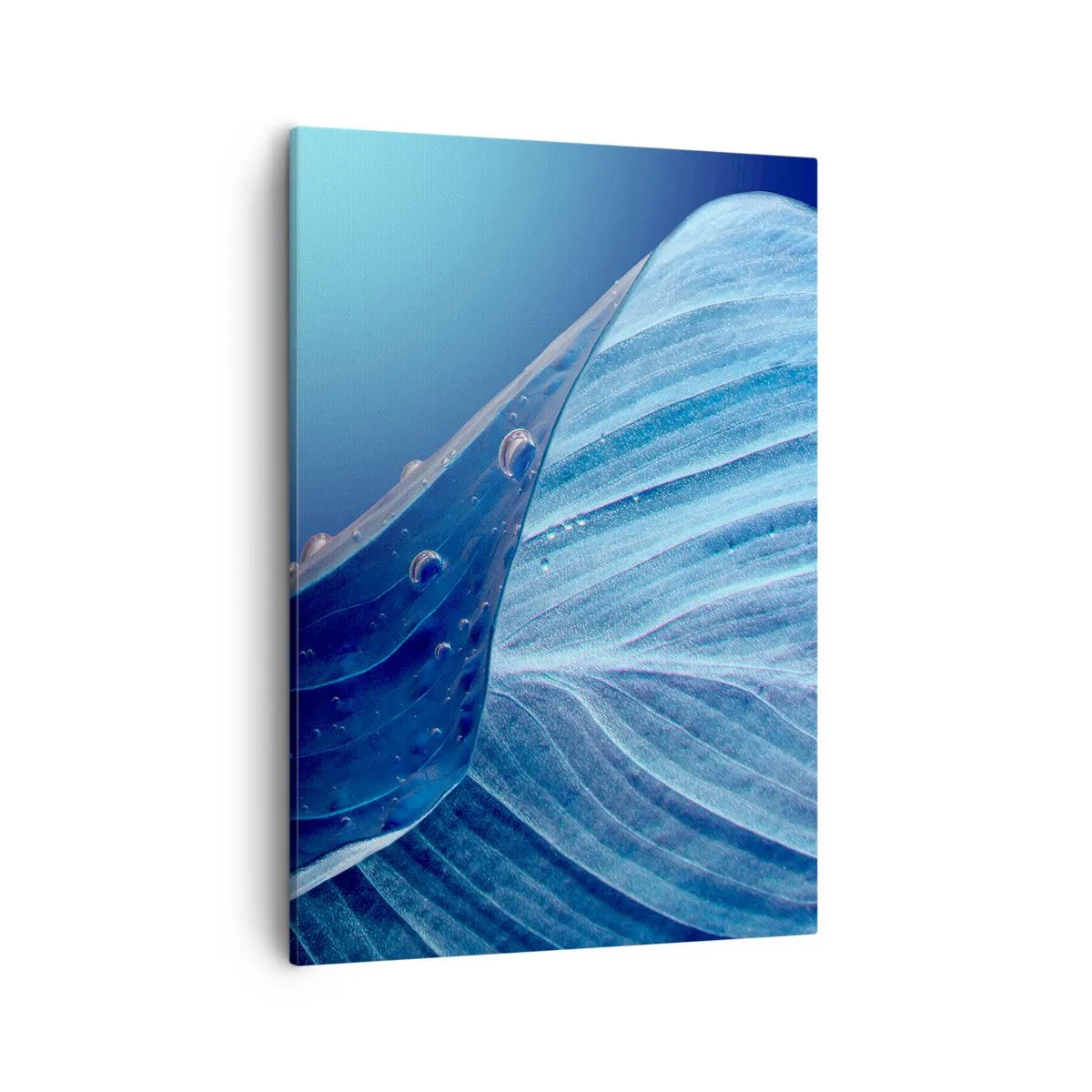 Quadro em tela - Gotas escondidas no azul - 50x70 cm