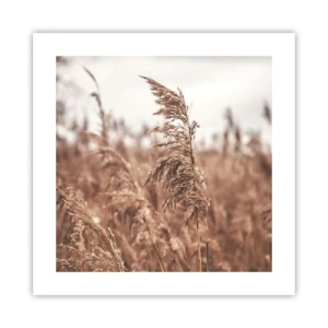 Pôster - O outono já chegou ao campo - 40x40 cm