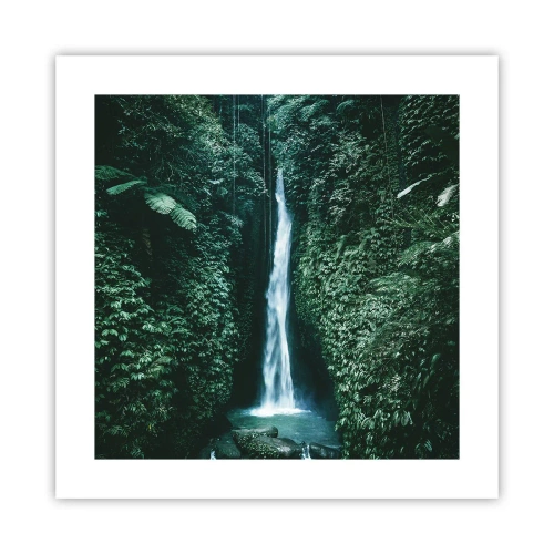 Pôster - Primavera tropical - 40x40 cm