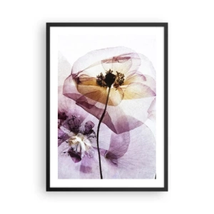 Pôster com moldura preta - Flores transparentes em tons pastéis - 50x70cm - A transparência das flores - Decoração de parede moderna para a sala de estar e quarto ARTTOR
