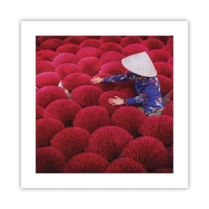 Pôster - No campo de arroz - 40x40 cm