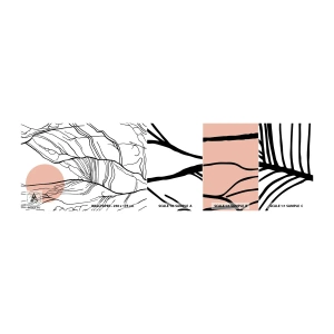 Amostra de papel de parede autocolante Deluxe Sticker - Numa rede de galhos - Abstração, Gráficos, Projeto - 100x30 cm