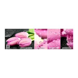 Amostra de papel de parede autocolante Deluxe Sticker - Trio lilás três em pedra - Flores, Tulipas, Buquê de flores - 100x30 cm