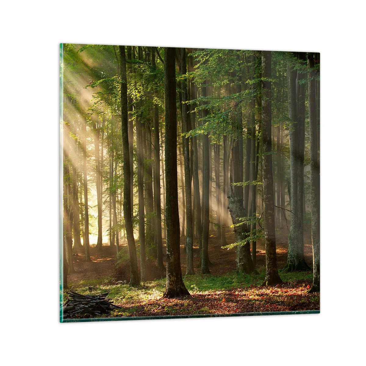 Quadro em vidro - Radiante em uma manhã de primavera - 60x60 cm