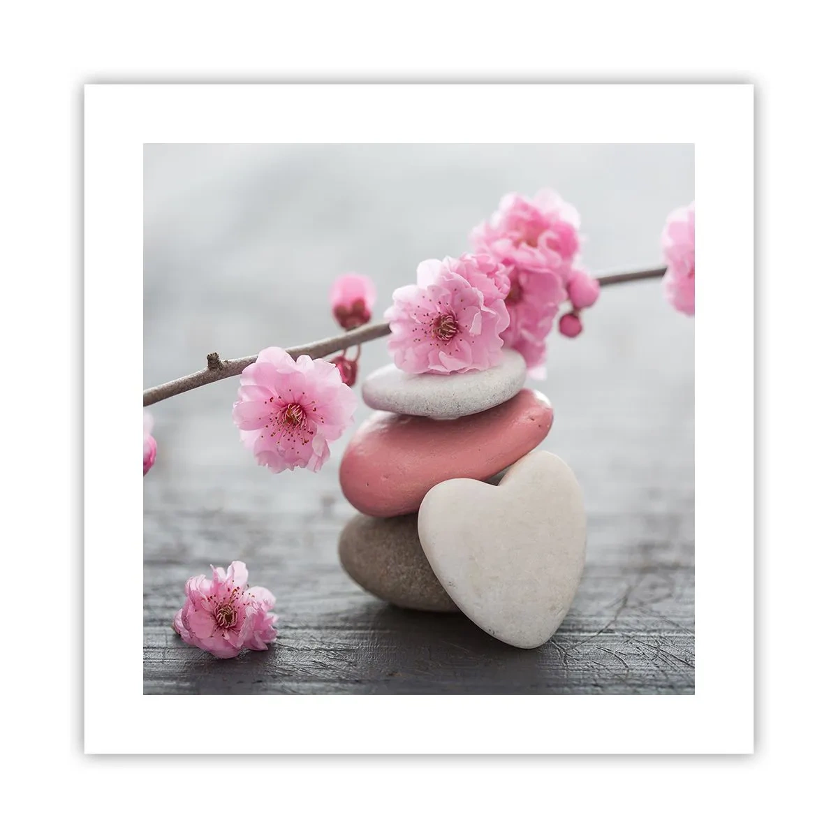 Pôster - Flor de cerejeira - 40x40 cm