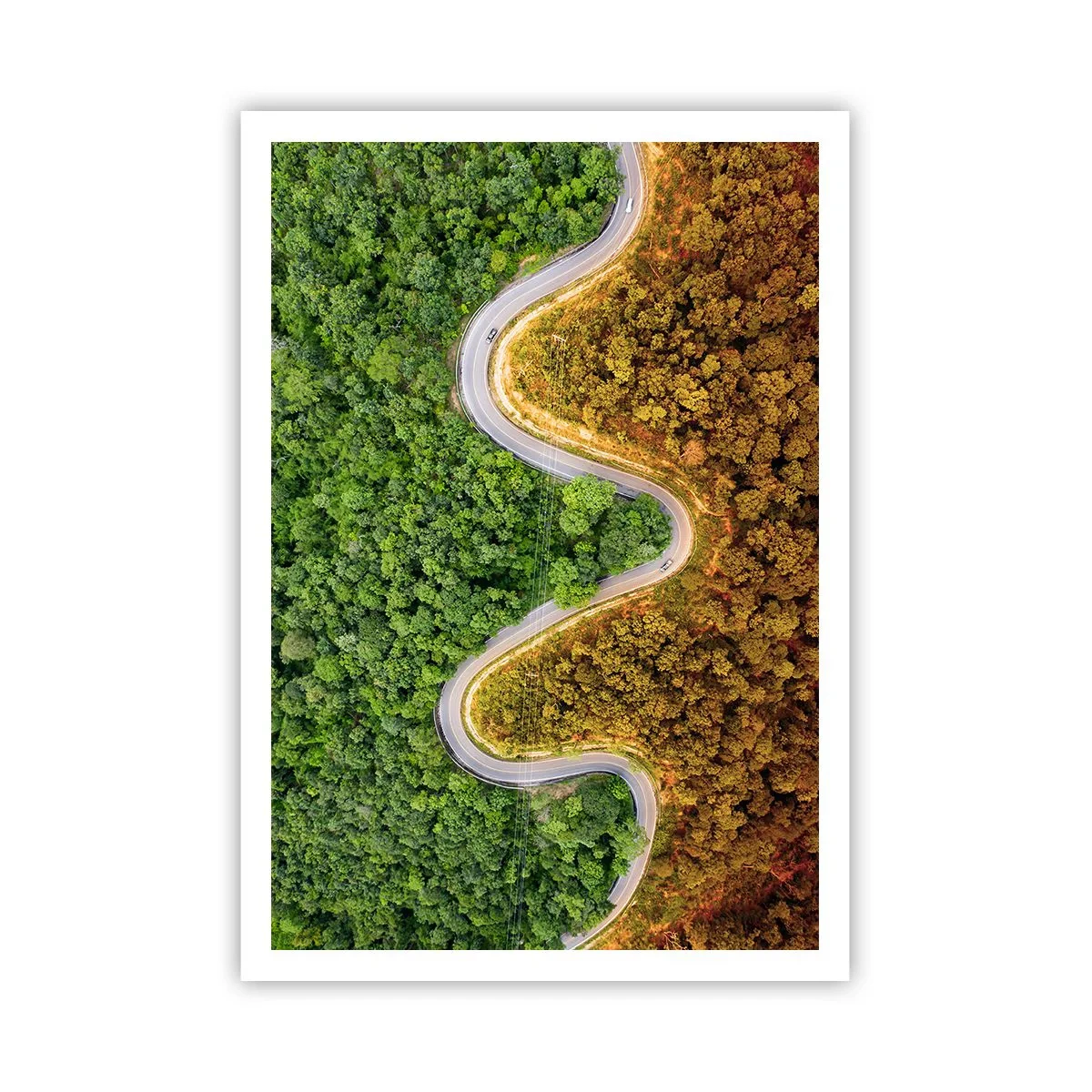 Pôster - Fronteiras e descobertas - 70x100 cm