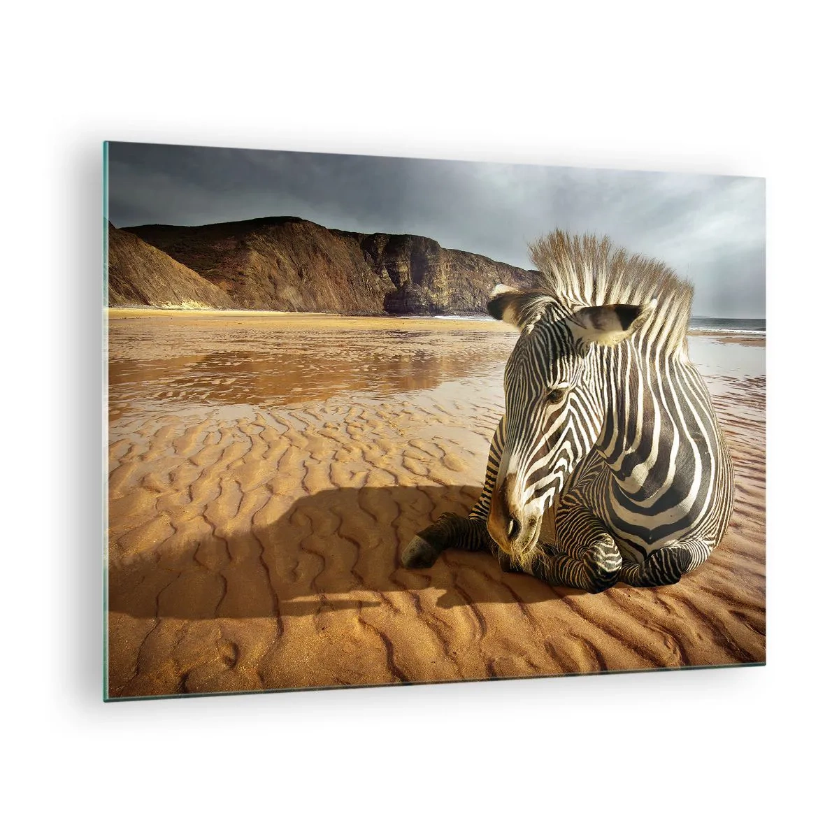 Quadro em vidro - Uma zebra descansando na praia ao pôr do sol - 70x50cm - Combinamos bem - Decoração de parede moderna para a sala de estar e quarto ARTTOR