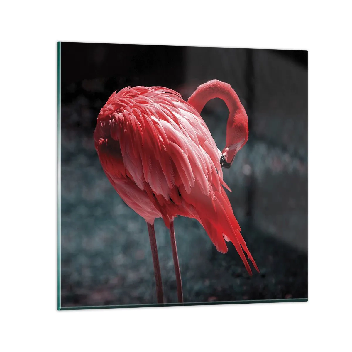 Quadro em vidro - Poema carmesim da natureza - 40x40 cm