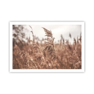 Pôster - O outono já chegou ao campo - 91x61 cm