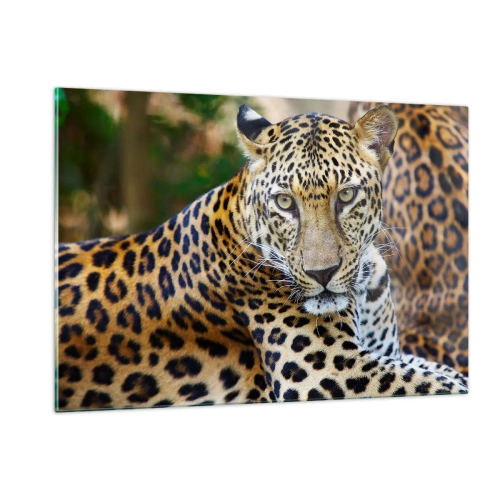 Quadro em vidro - Selvagem e tranquilo - 120x80 cm