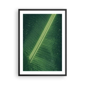 Pôster com moldura preta - Close-up de uma folha verde com gotas de água - 50x70cm - A estrutura da vegetação - Decoração de parede moderna para a sala de estar e quarto ARTTOR