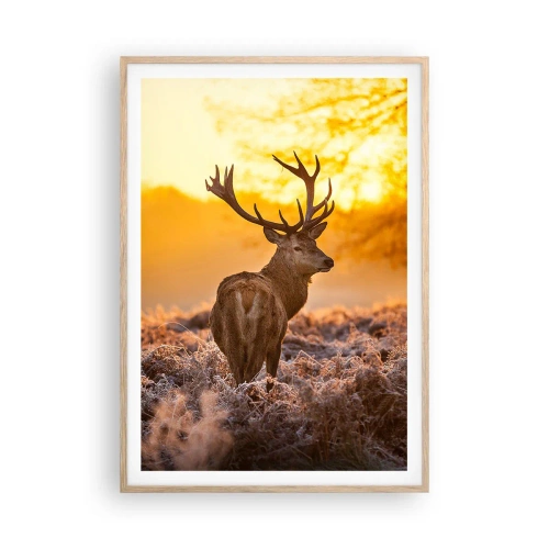 Pôster com moldura de carvalho claro - Rei da floresta de outono - 70x100 cm