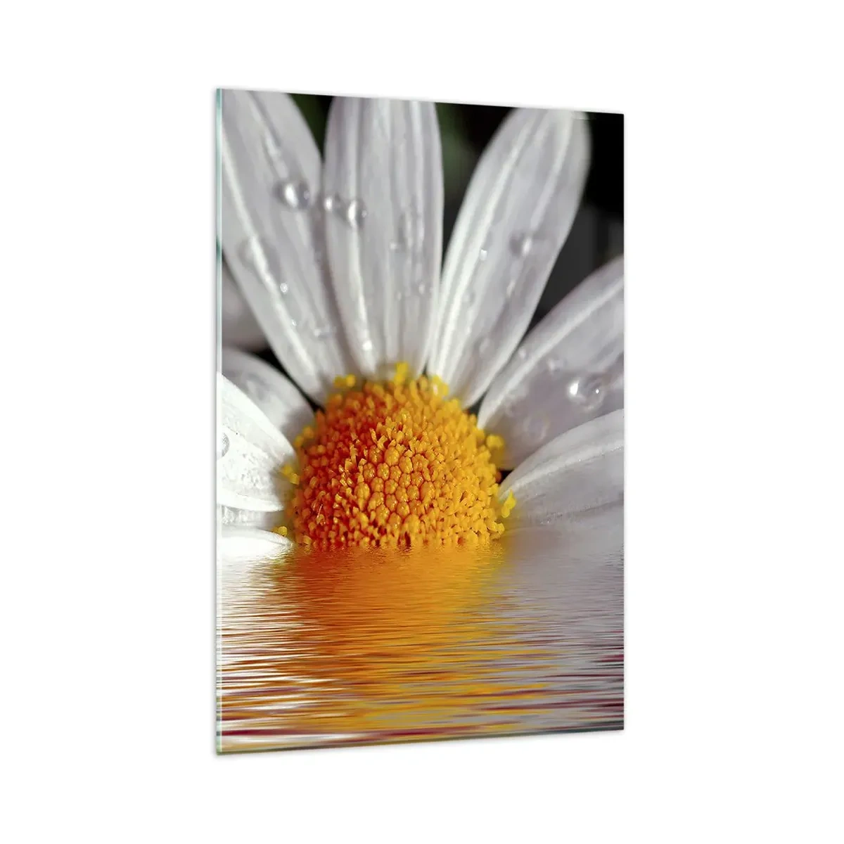 Quadro em vidro - As margaridas do sol nascente - 80x120 cm