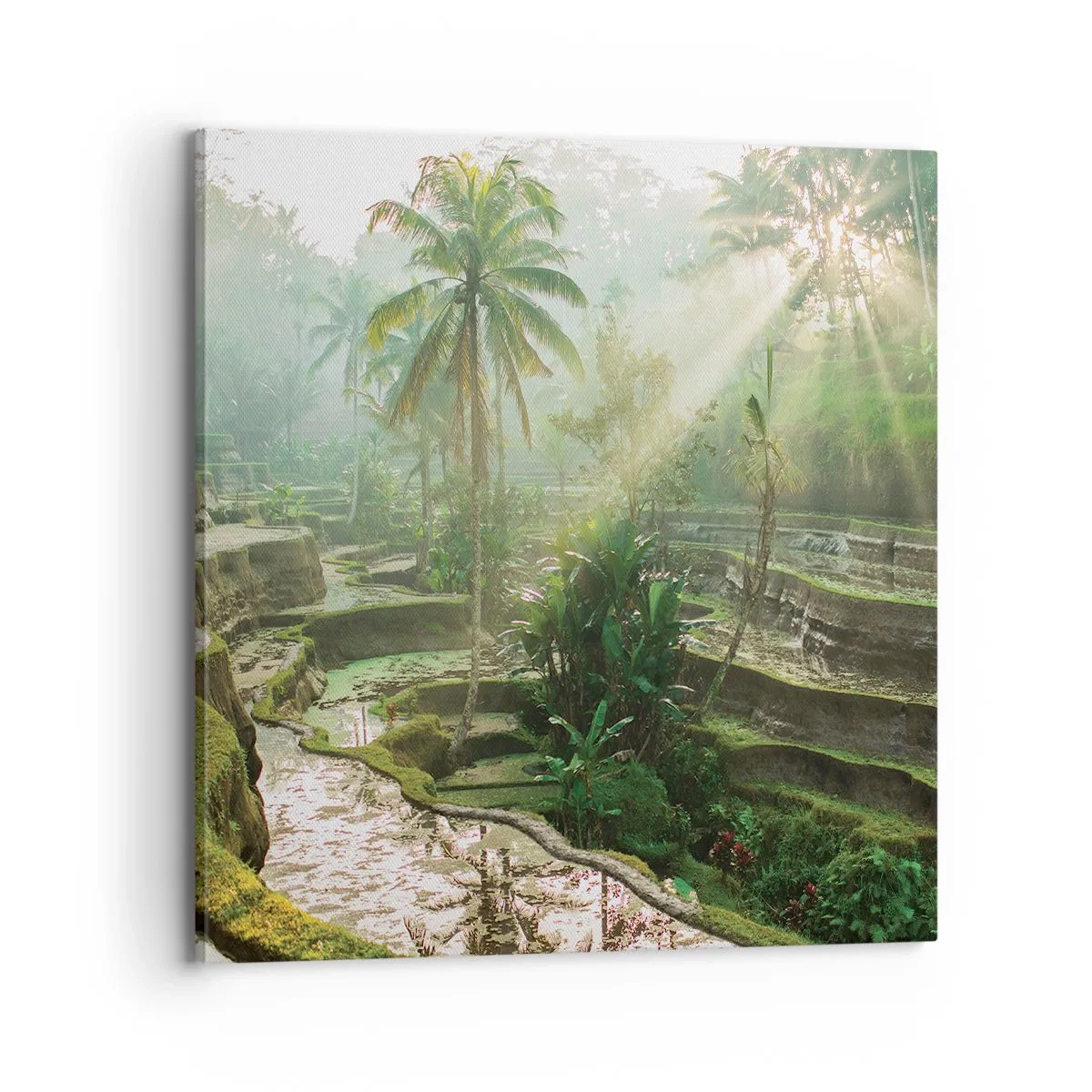 Quadro em tela - Crescer ao sol - 70x70 cm