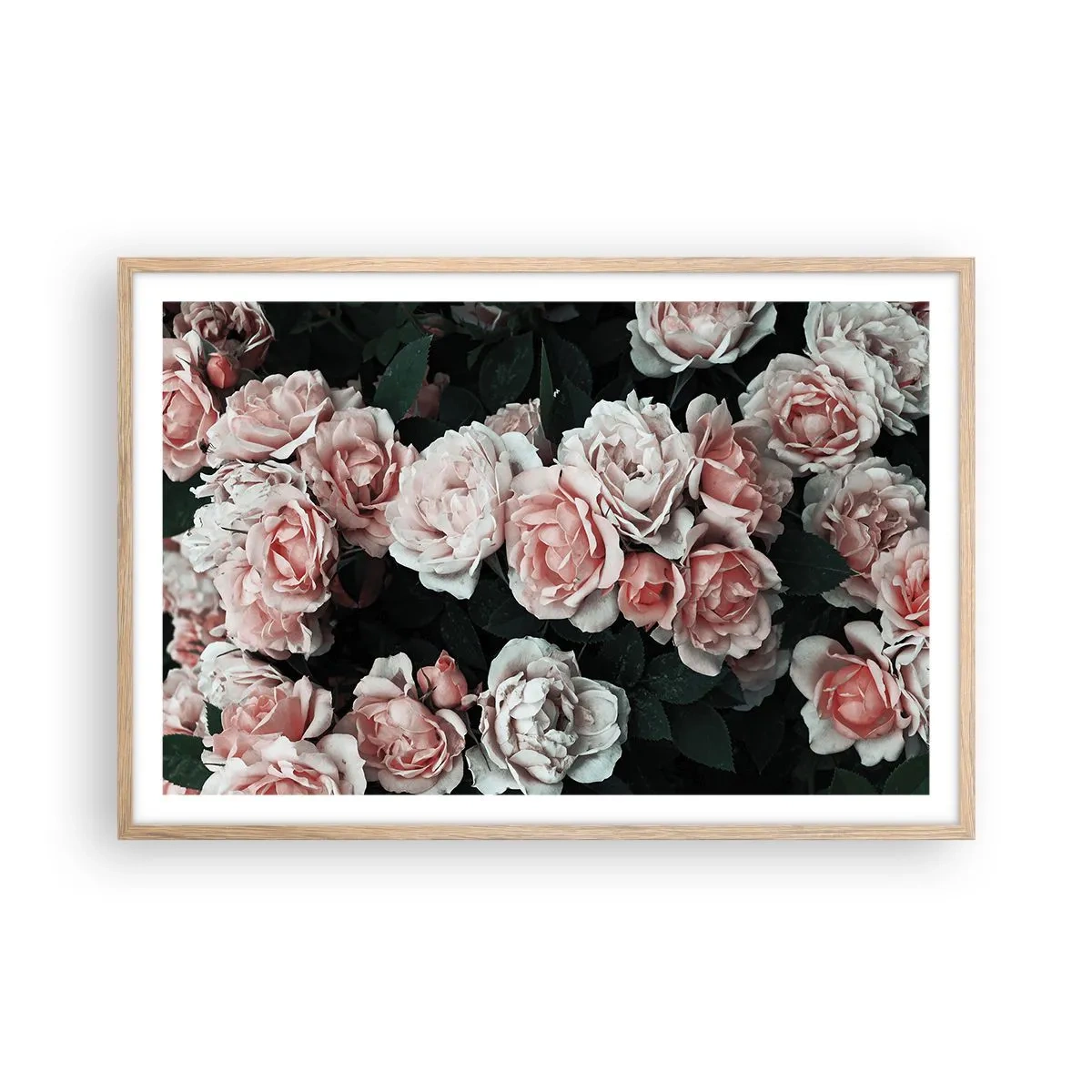 Pôster com moldura de carvalho claro - Conjuntos de rosas - 91x61 cm