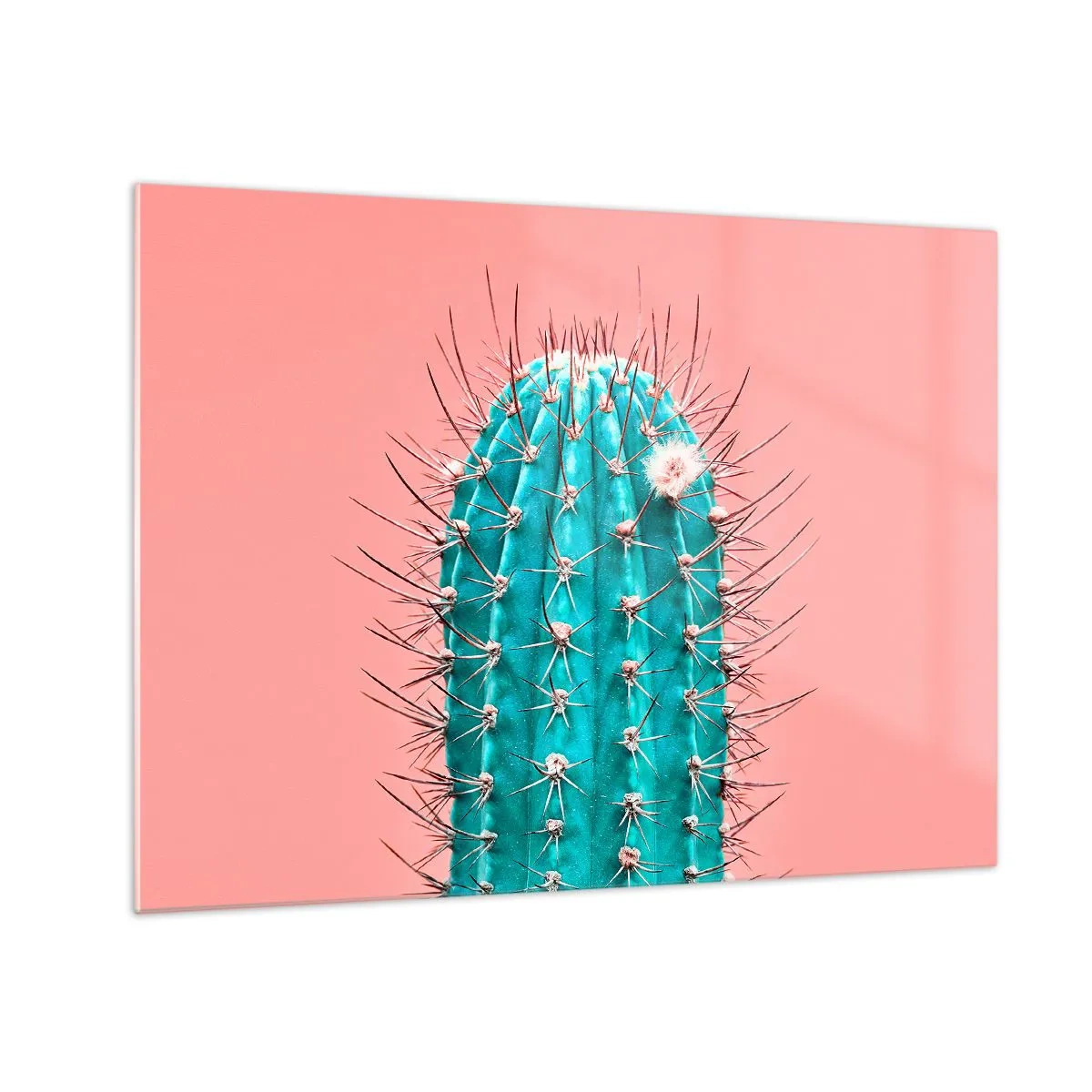 Quadro em vidro - Cacto verde com espinhos em um fundo rosa - 70x50cm - Apenas olhe - Decoração de parede moderna para a sala de estar e quarto ARTTOR