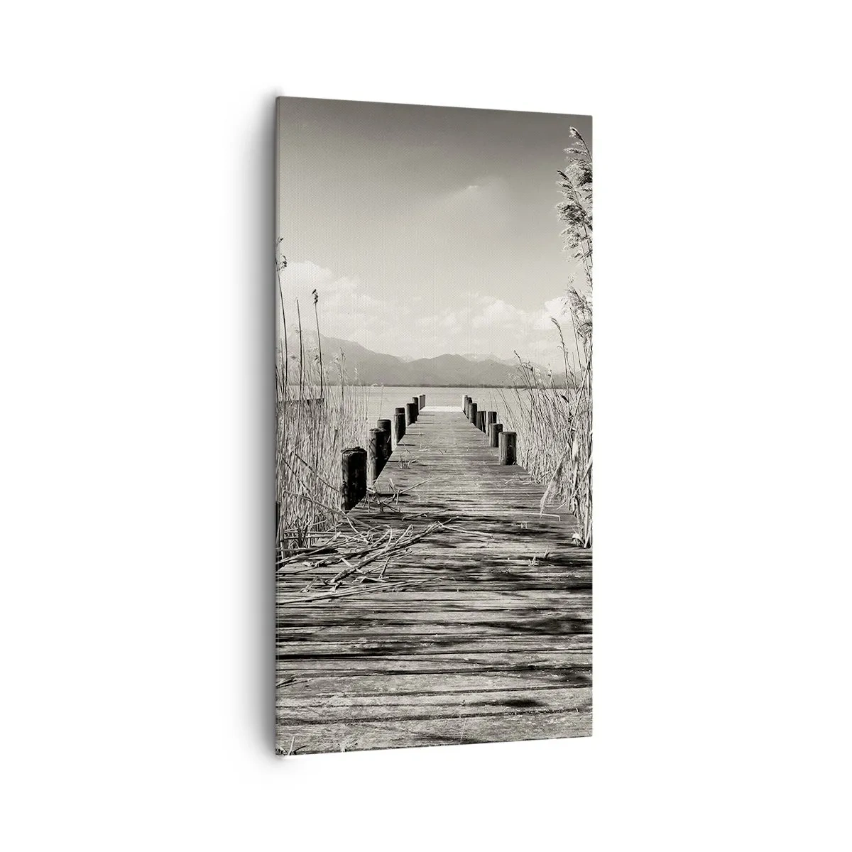 Quadro em tela - No silêncio da relva - 65x120 cm