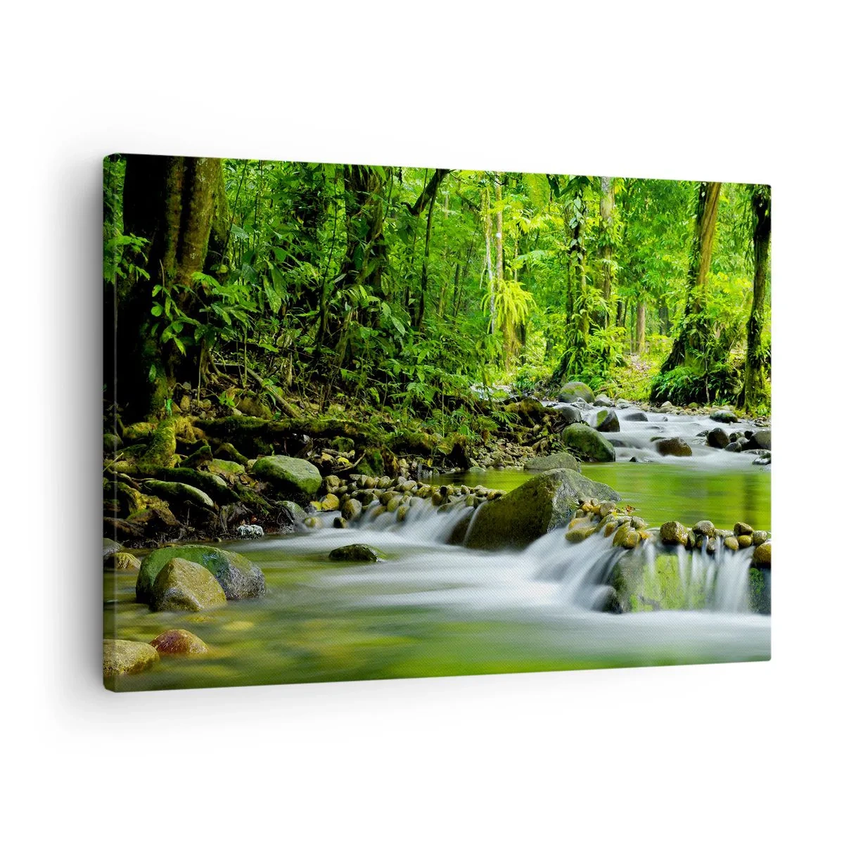 Quadro em tela - Um riacho em uma floresta tropical exuberante - 70x50cm - Navegar no mar de vegetação - Decoração de parede moderna para a sala de estar e quarto ARTTOR