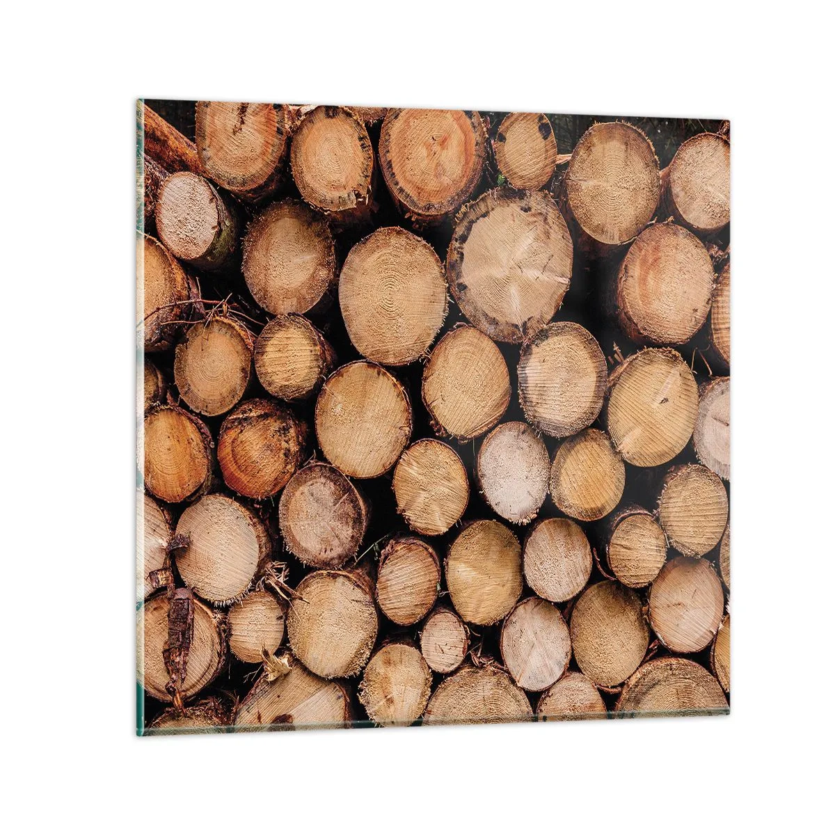 Quadro em vidro - Um novo começo - 30x30 cm