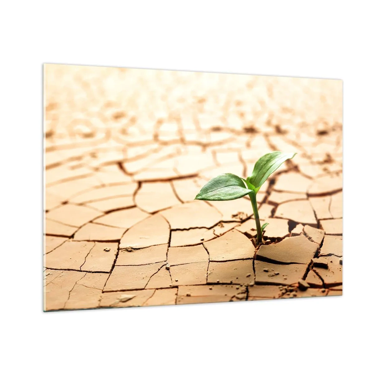 Quadro em vidro - A força indomável da vida - 100x70 cm