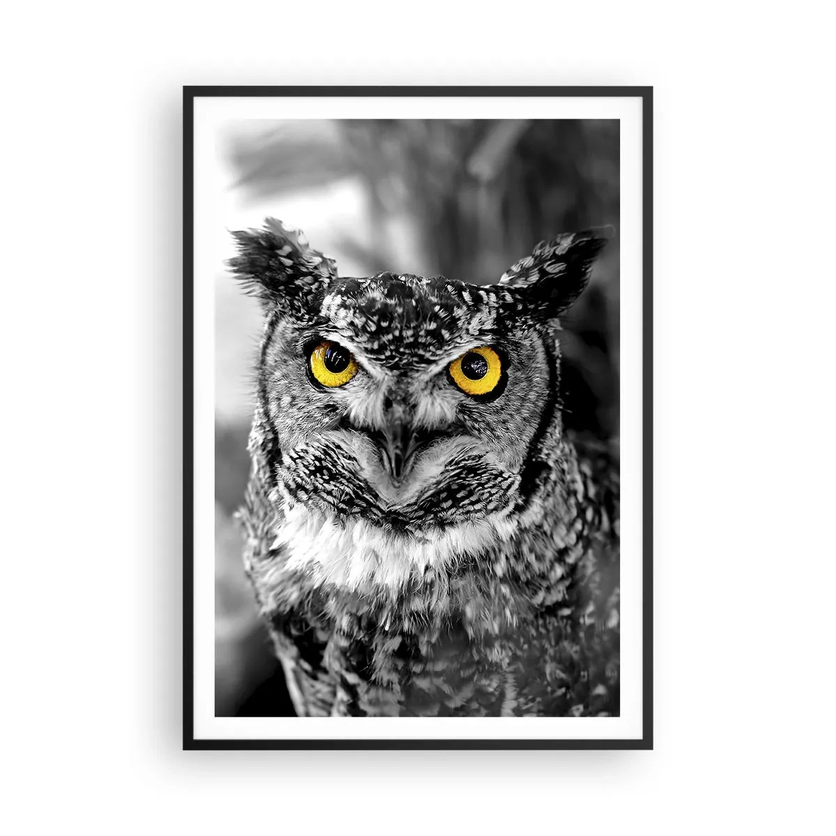 Pôster com moldura preta - Nada pode ser escondido - 70x100 cm