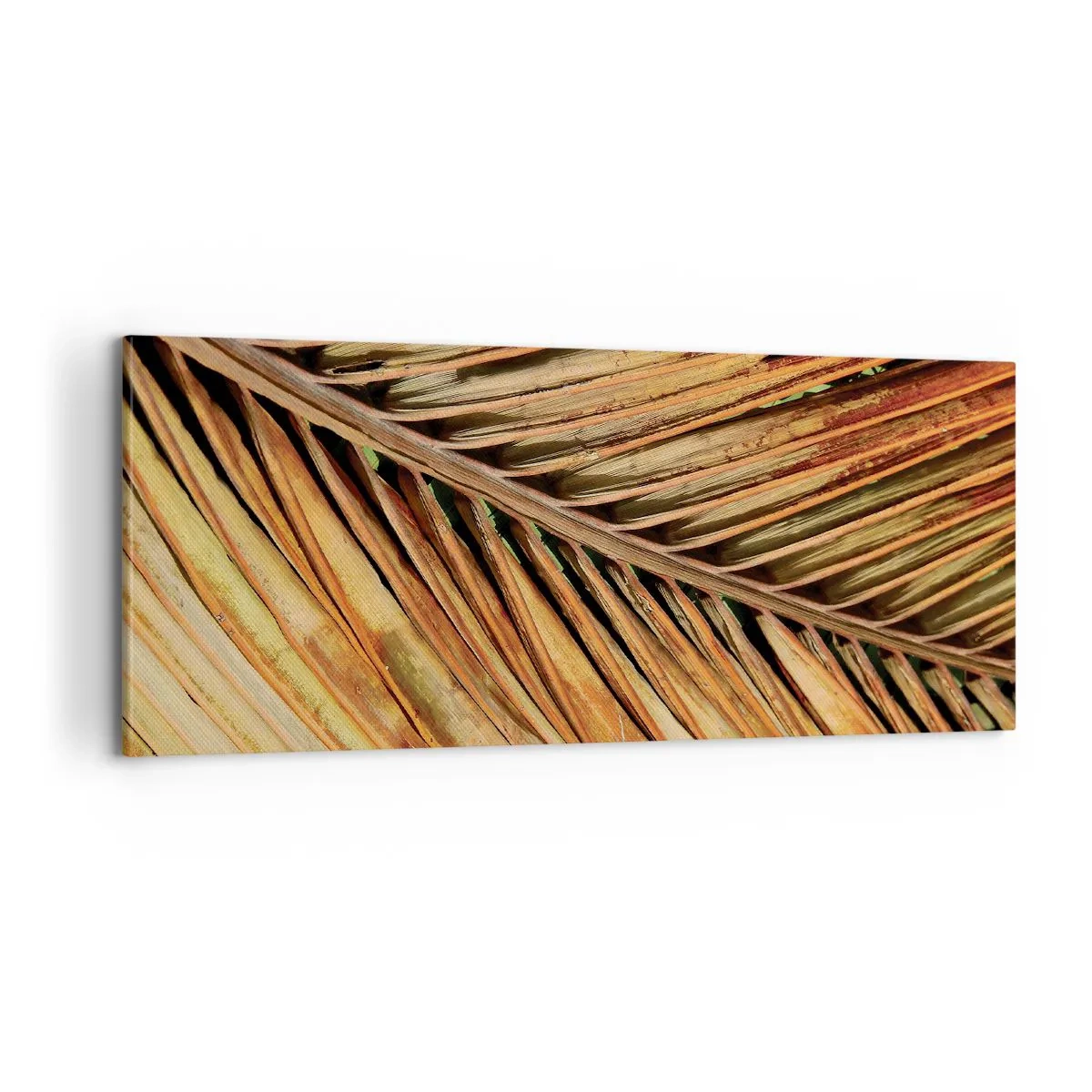 Quadro em tela - Ouro de coco - 100x40 cm