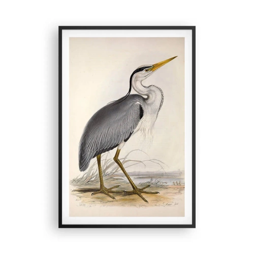 Pôster com moldura preta - Graça de garça - 61x91 cm