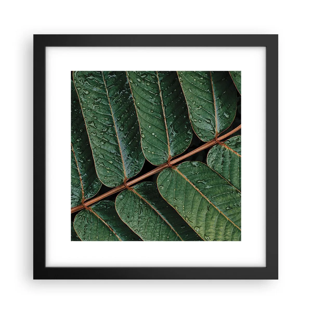 Pôster com moldura preta - Num ritmo verde - 30x30 cm