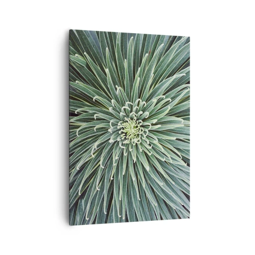 Quadro em tela - Nasce uma estrela - 70x100 cm