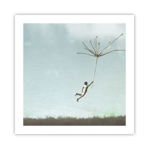 Pôster - Papagaios, balões, vento - 50x50 cm