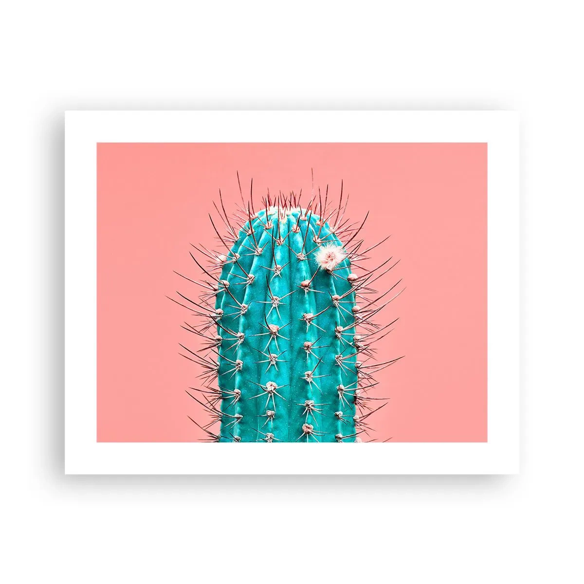 Pôster - Apenas olhe - 50x40 cm