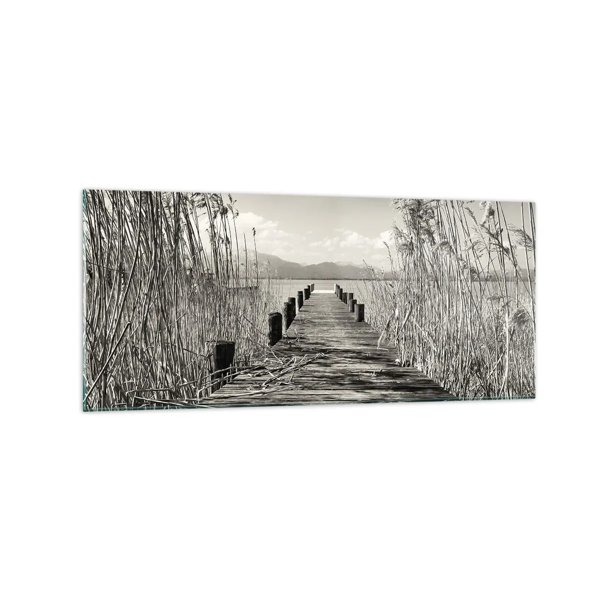 Quadro em vidro - No silêncio da relva - 120x50 cm