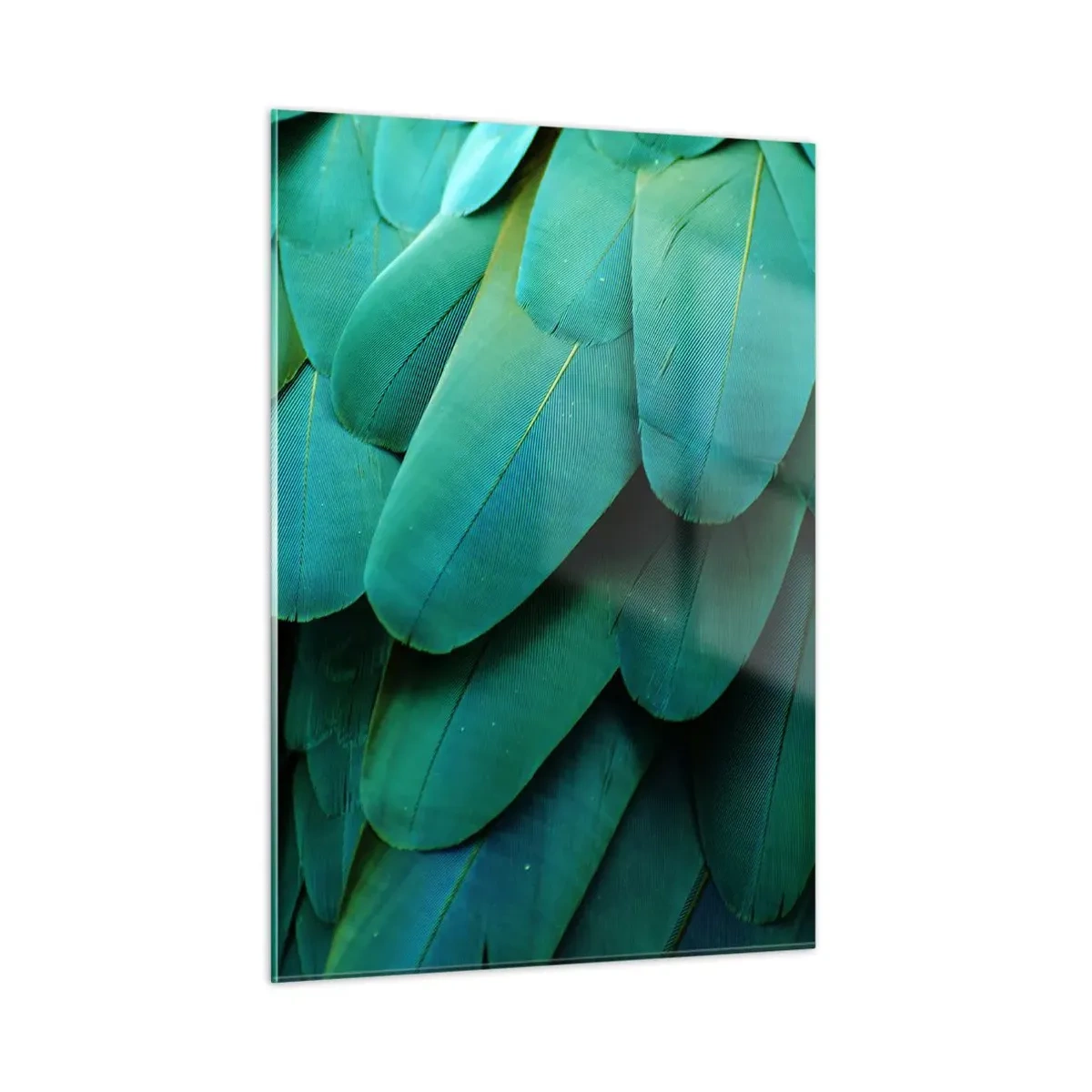 Quadro em vidro - Precisão de papagaio - 50x70 cm