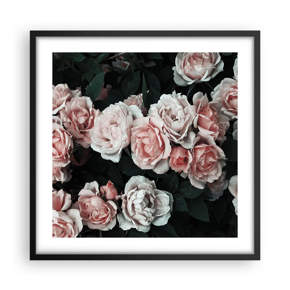 Pôster com moldura preta - Conjuntos de rosas - 50x50 cm