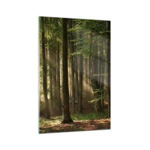 Quadro em vidro - Radiante em uma manhã de primavera - 70x100 cm