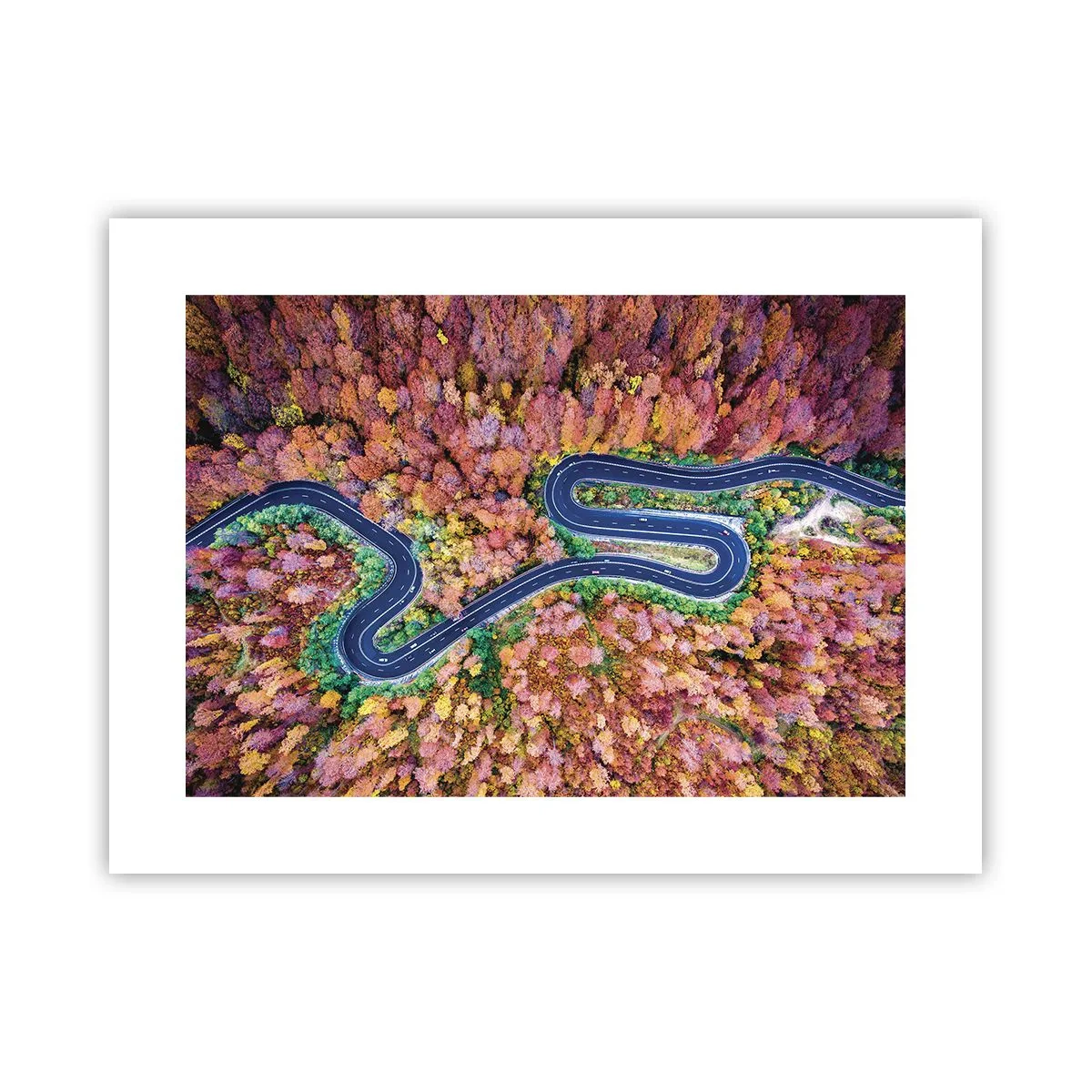 Pôster - Estrada sinuosa pela floresta - 40x30 cm