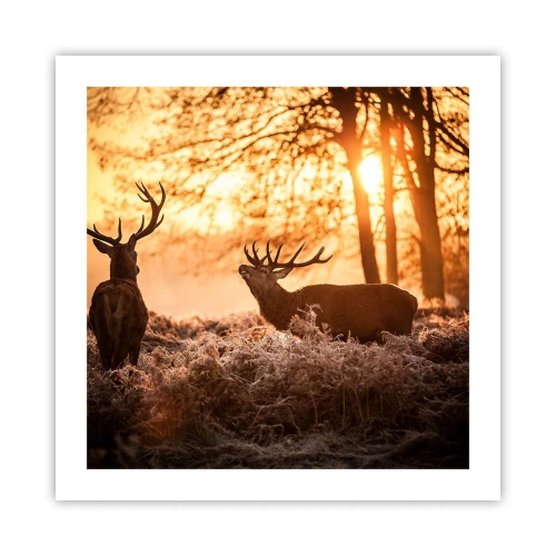 Pôster - O sonho do caçador - 50x50 cm