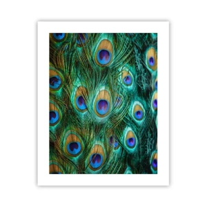 Pôster - Um olhar de pavão - 40x50 cm